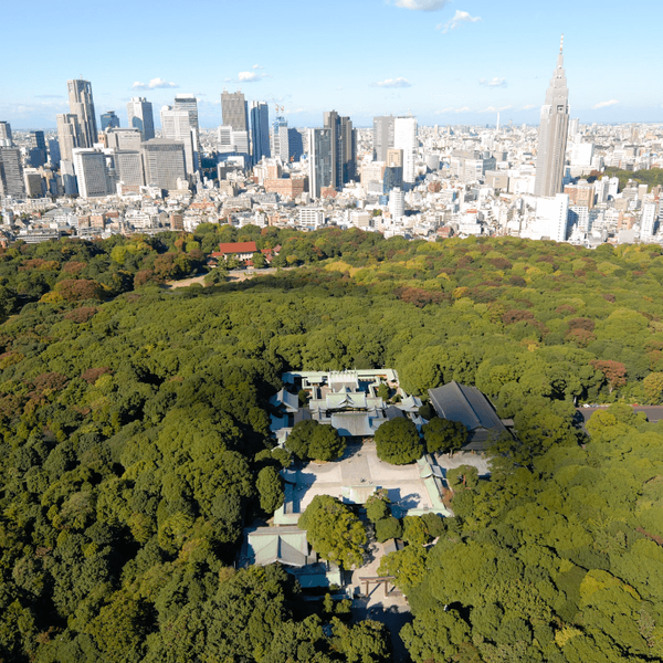 voyage-japon-kyoto-circuit