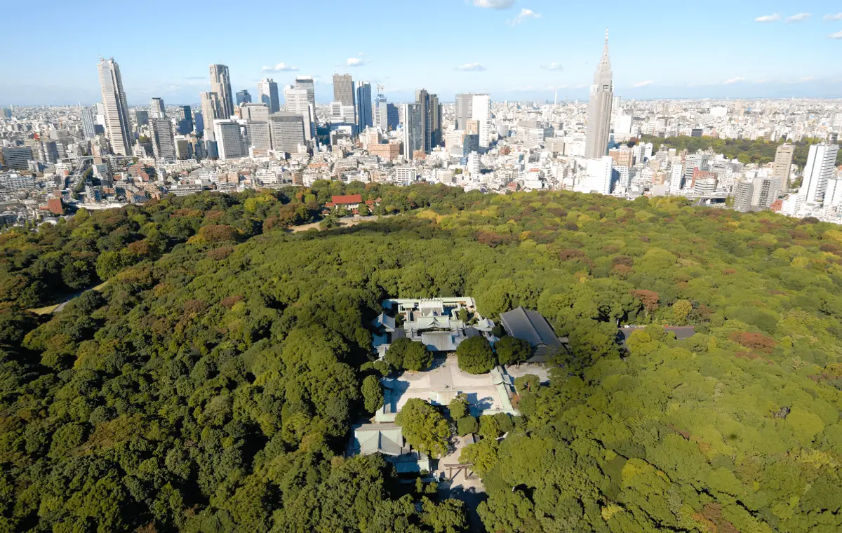 voyage-japon-kyoto-circuit