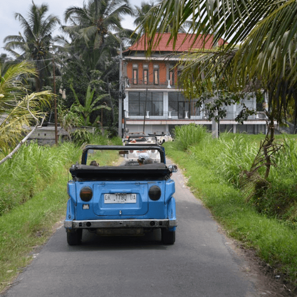 ubud-riziere-immersion-decapotable