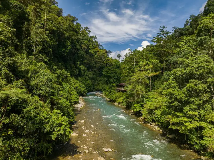 une randonnée à bukit lawang 