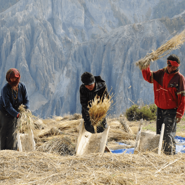 paysage-rencontre-immersive