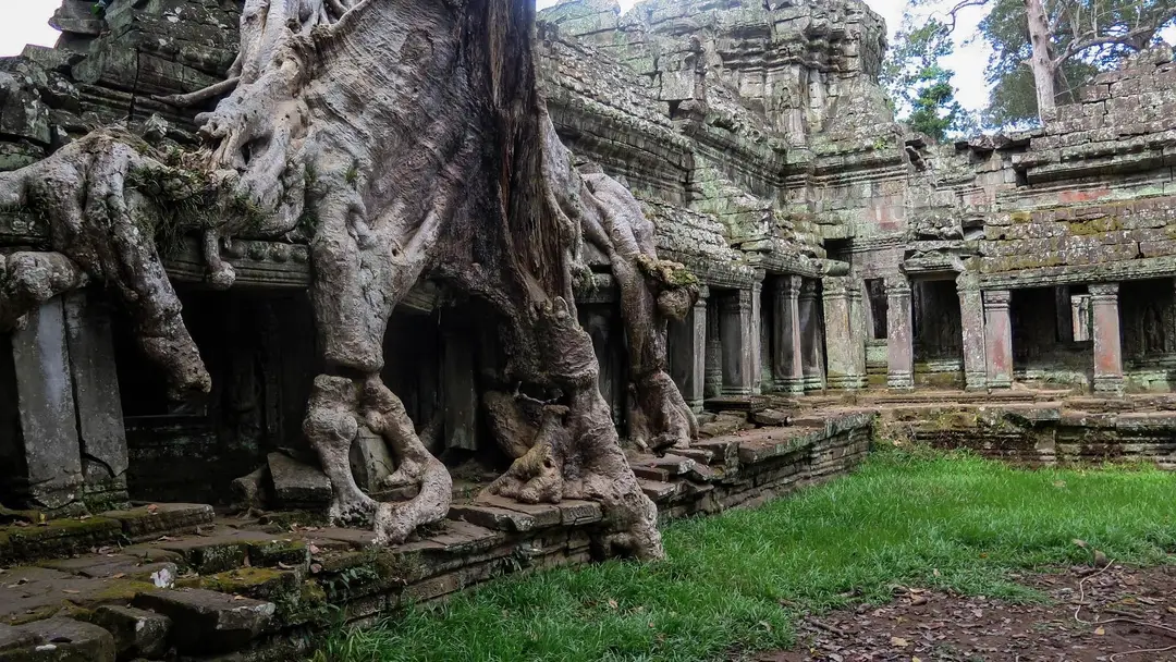 Temple de Ta Prohm et sa végétation dans le parc archéologique d’Angkor, au Cambodge.