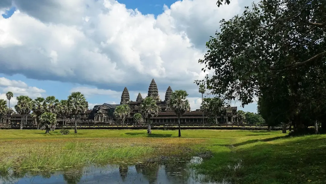 kolibri5-cambodia-603342_1920.jpg