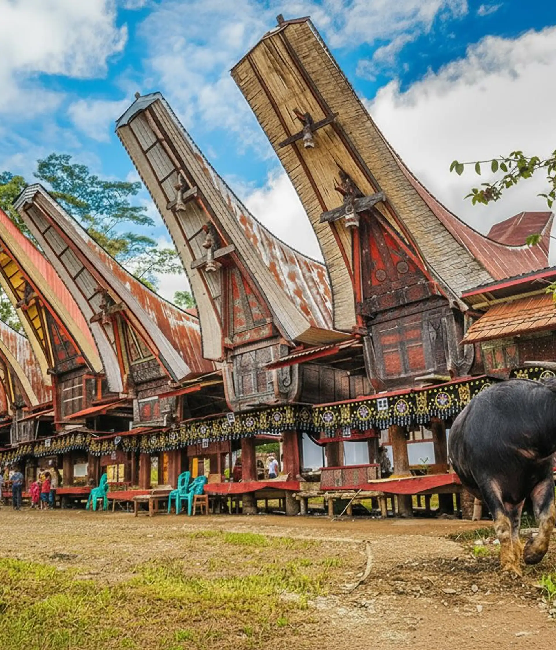 kultur und inselparadies Sulawesi