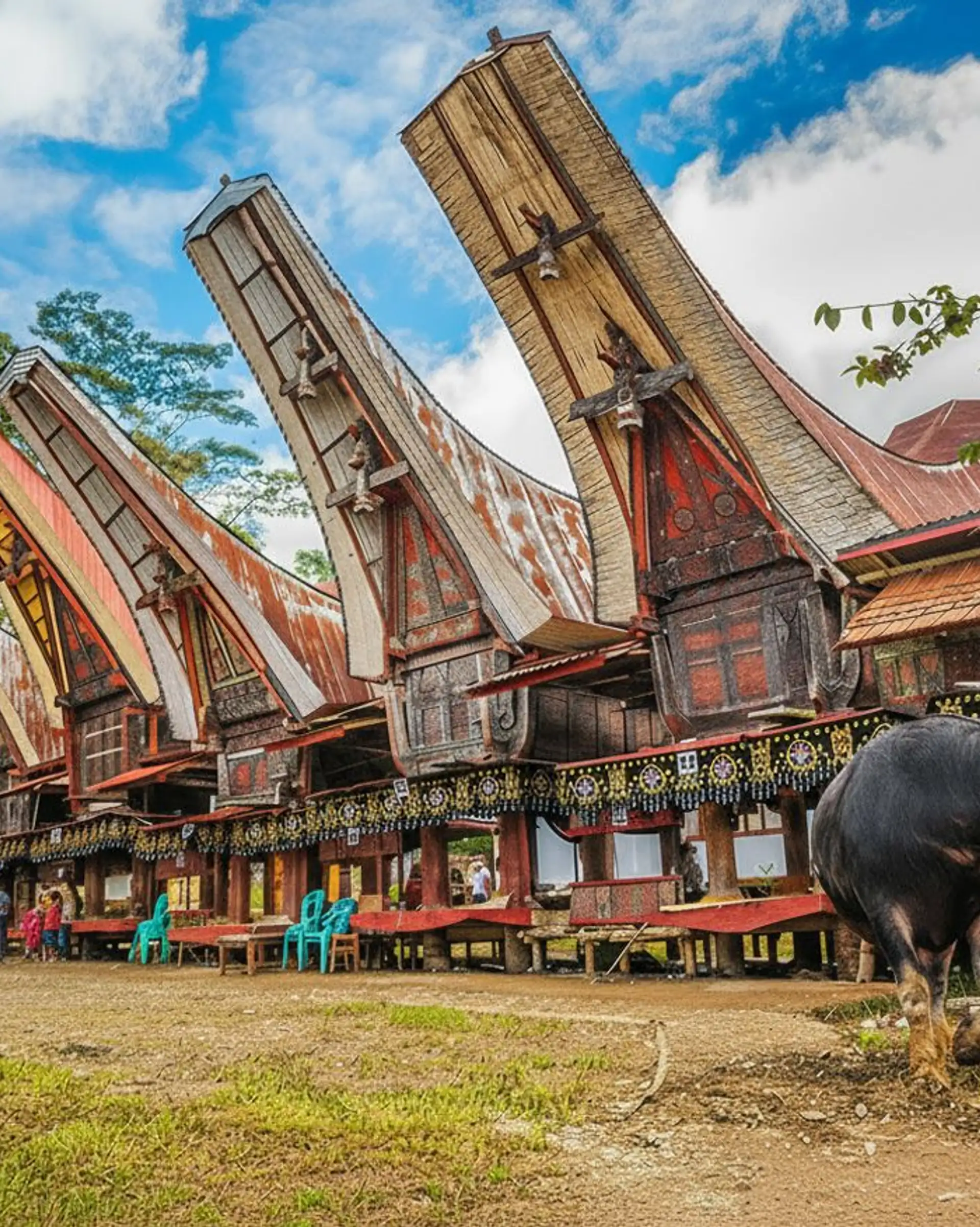 kultur und inselparadies Sulawesi