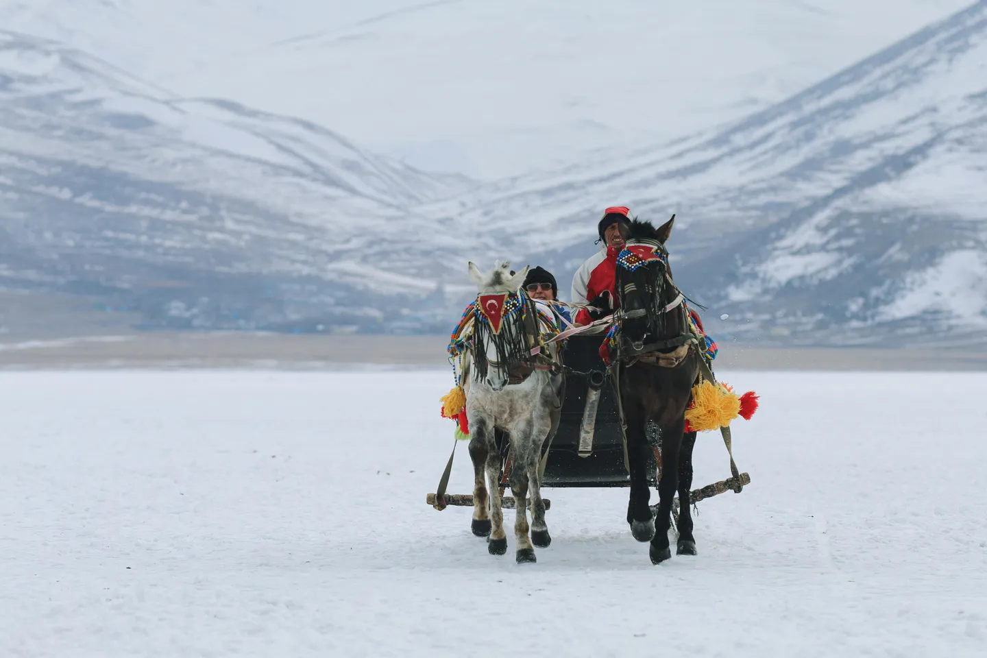 Voyage au Kirghizistan - Locaux tirés par des chevaux