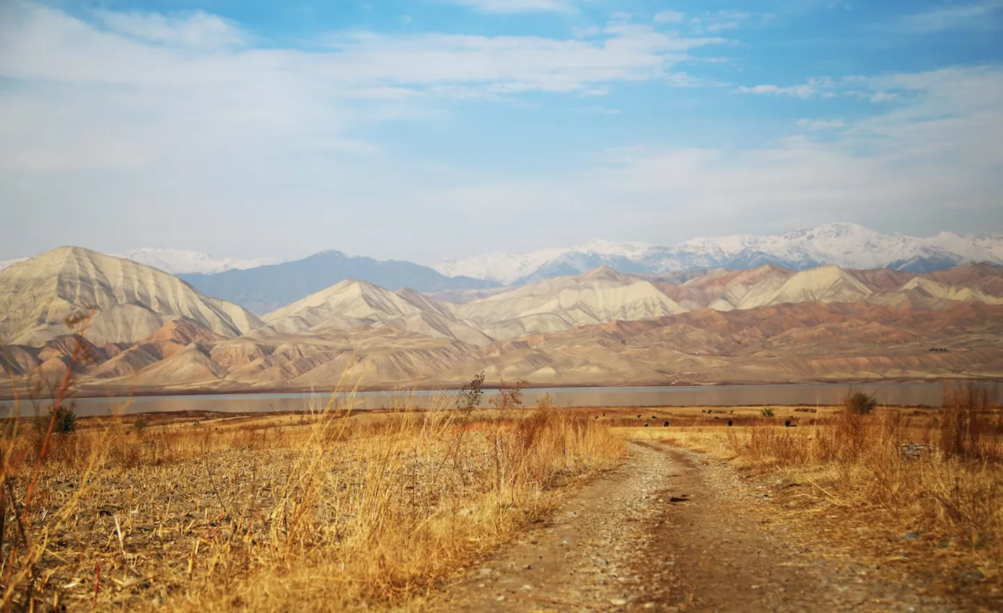 Montagnes en automne au Kirghizistan