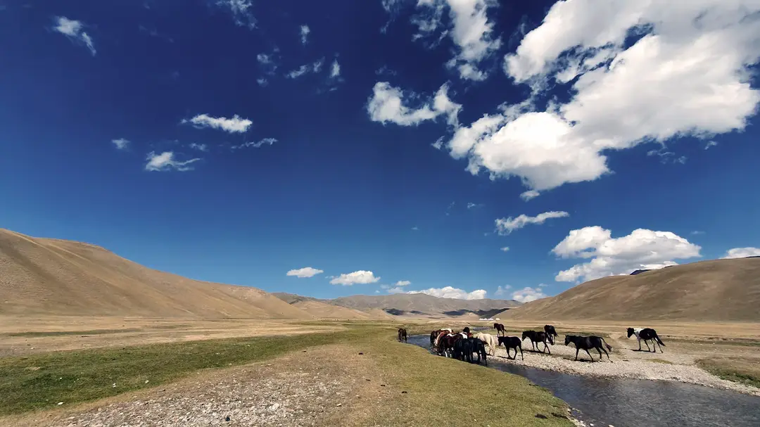 Voyage au Kirghizistan - Montagnes entourant des chevaux dans un ruisseau