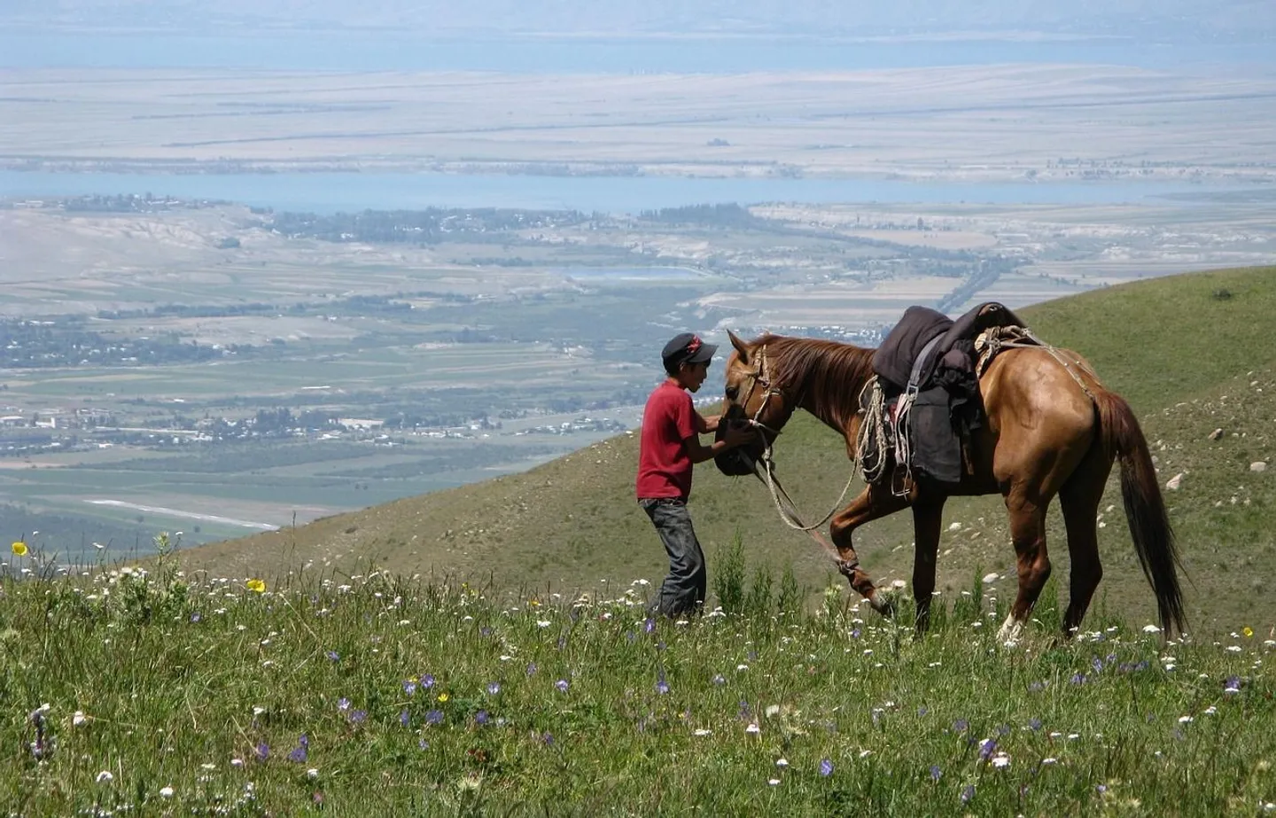 Monsieur avec son cheval sur des montagnes