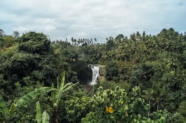Wanderung zum Wasserfall Tegenungan in INdonesien
