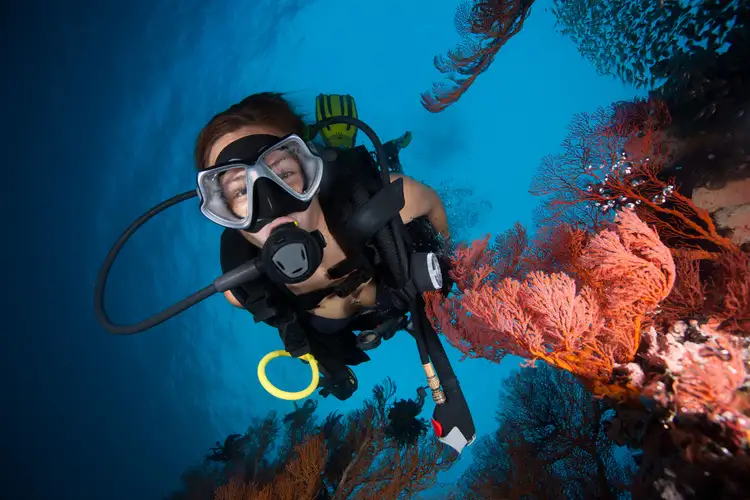 Voyage en Asie — plongeuse observant les coraux colorés au large de Bira dans le sud du Sulawesi, une immersion marine authentique guidée par notre expertise locale du voyage sur mesure — Shanti Travel