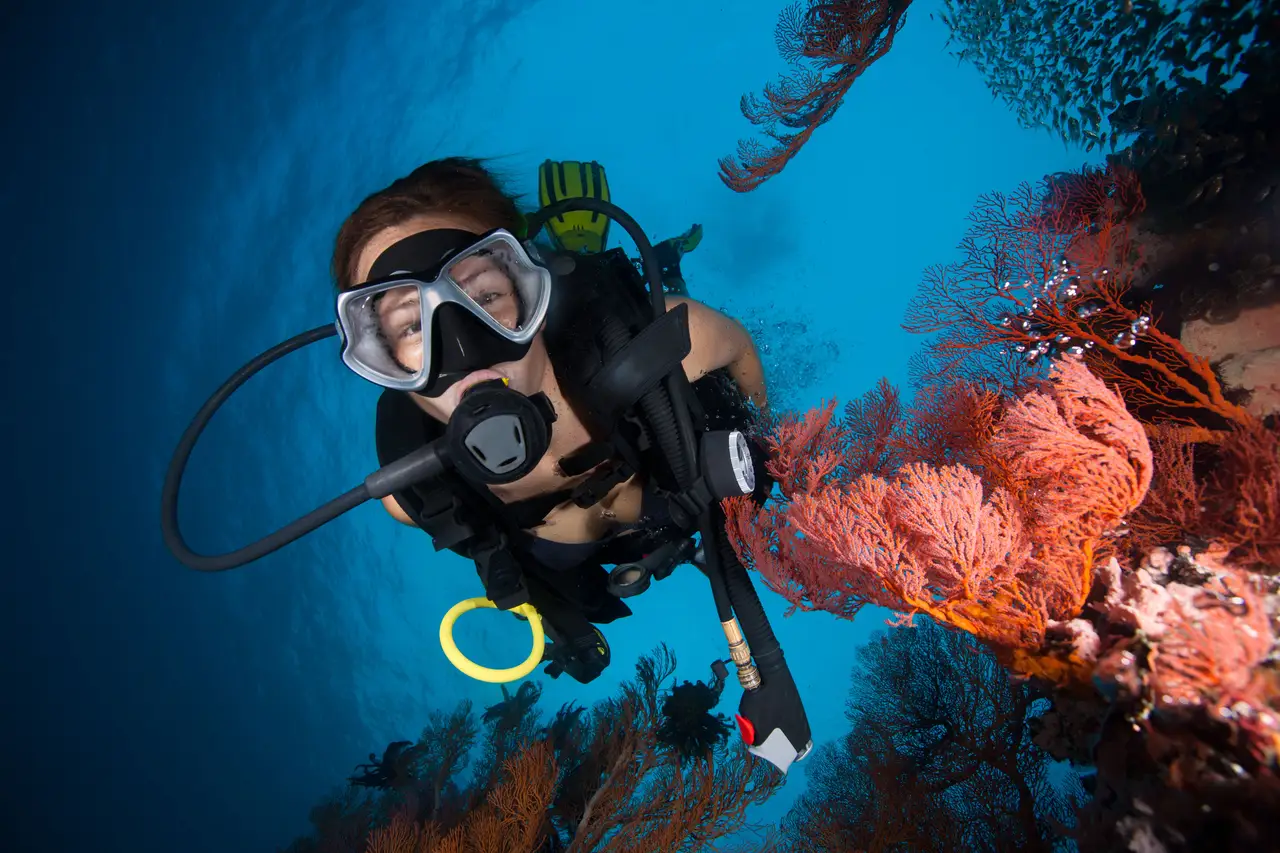 Voyage en Asie — plongeuse observant les coraux colorés au large de Bira dans le sud du Sulawesi, une immersion marine authentique guidée par notre expertise locale du voyage sur mesure — Shanti Travel