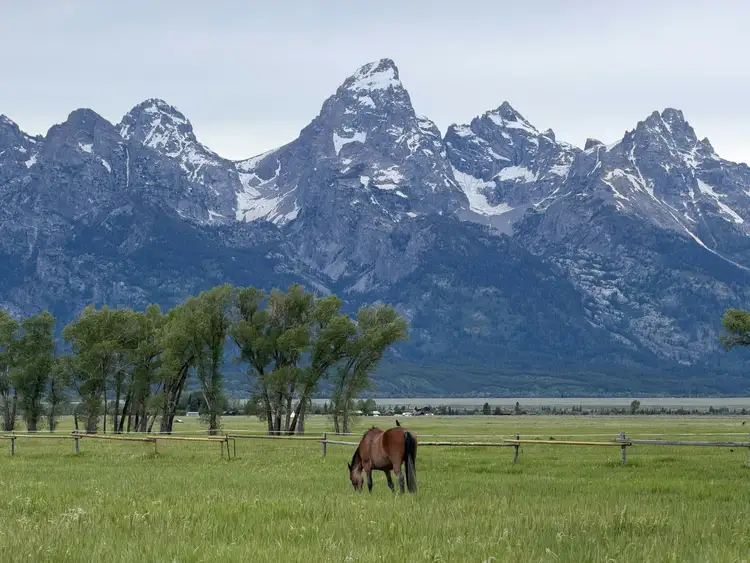 Pics rocheux et escarpés de la chaîne des Tetons dominant une plaine verdoyante sous un ciel couvert dans le parc national de Grand Teton