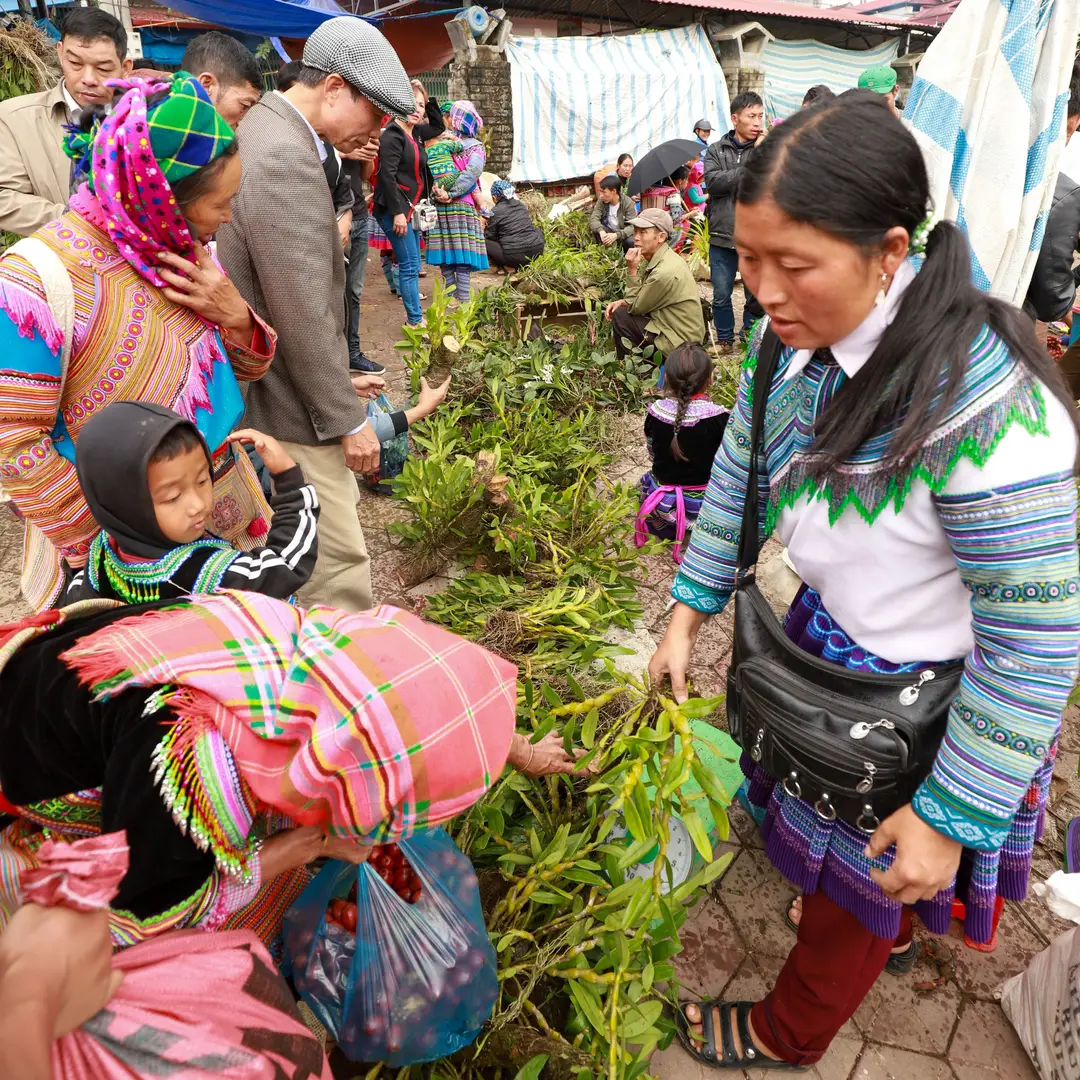 marché traditionnelle à Lào Cai, au Vietnam.jpg