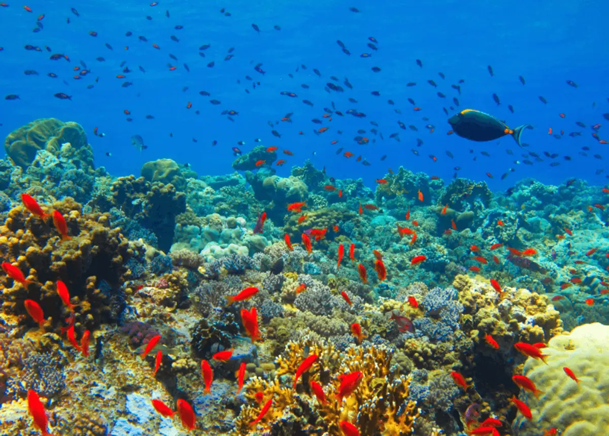 mer-arabie-oman-mascate