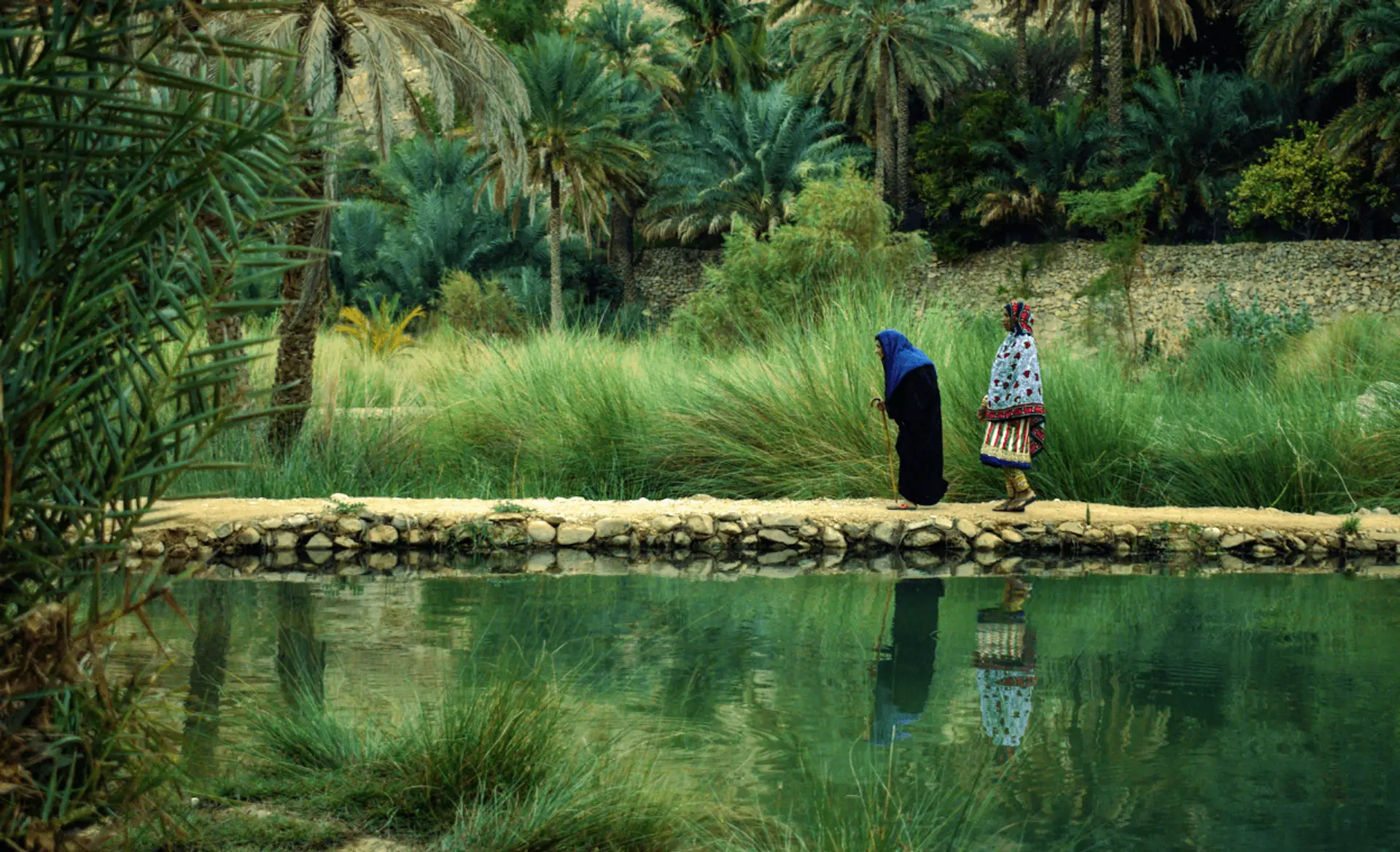 Oasis verdoyante avec palmiers se reflétant dans l'eau d'un wadi à Oman