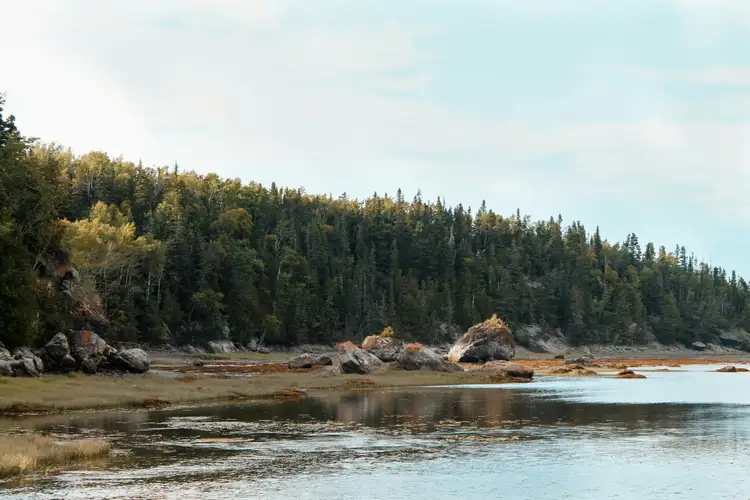 Anse côtière bordée de blocs rocheux et d'une colline boisée de conifères au parc national du Bic près de Rimouski sous un ciel doux
