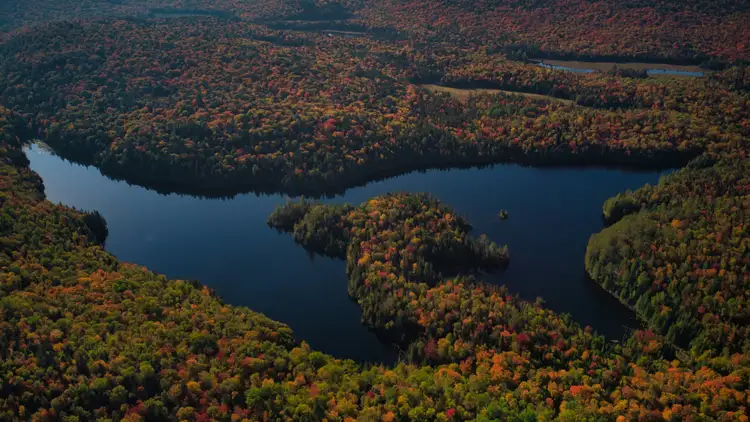 Vue aérienne d'un lac aux eaux calmes entouré d'une vaste forêt boréale parée de ses couleurs chaudes d'automne en Mauricie