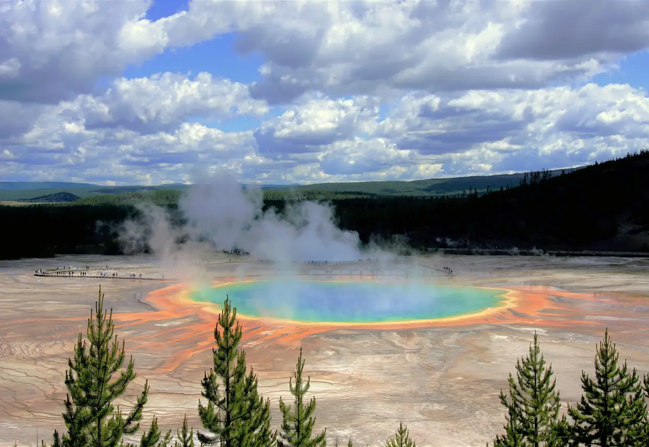 Bassin géothermique multicolore du Grand Prismatic Spring dégageant de la vapeur devant une colline boisée à Yellowstone