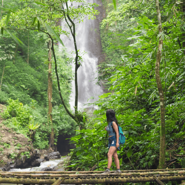 magnifique-munduk-cascade-verdure
