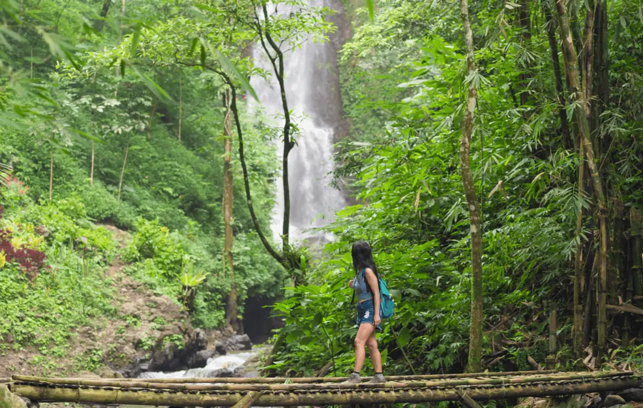 magnifique-munduk-cascade-verdure