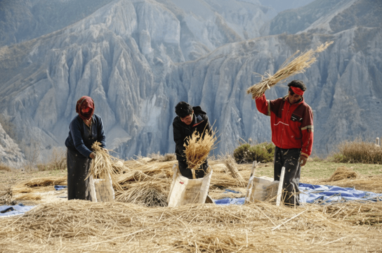nayapul das abenteuer beginnt