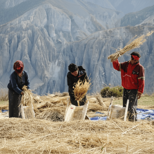 nayapul das abenteuer beginnt