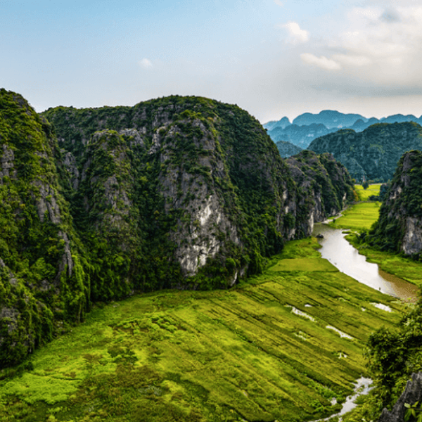 paysage-ninh-binh-baie-sur-terre