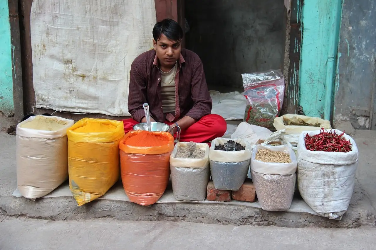 Voyage en petit groupe en Inde