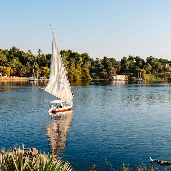 Felouques traditionnelles naviguant sur l'eau