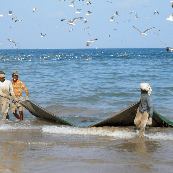 fjords-musandam-oman-mascate