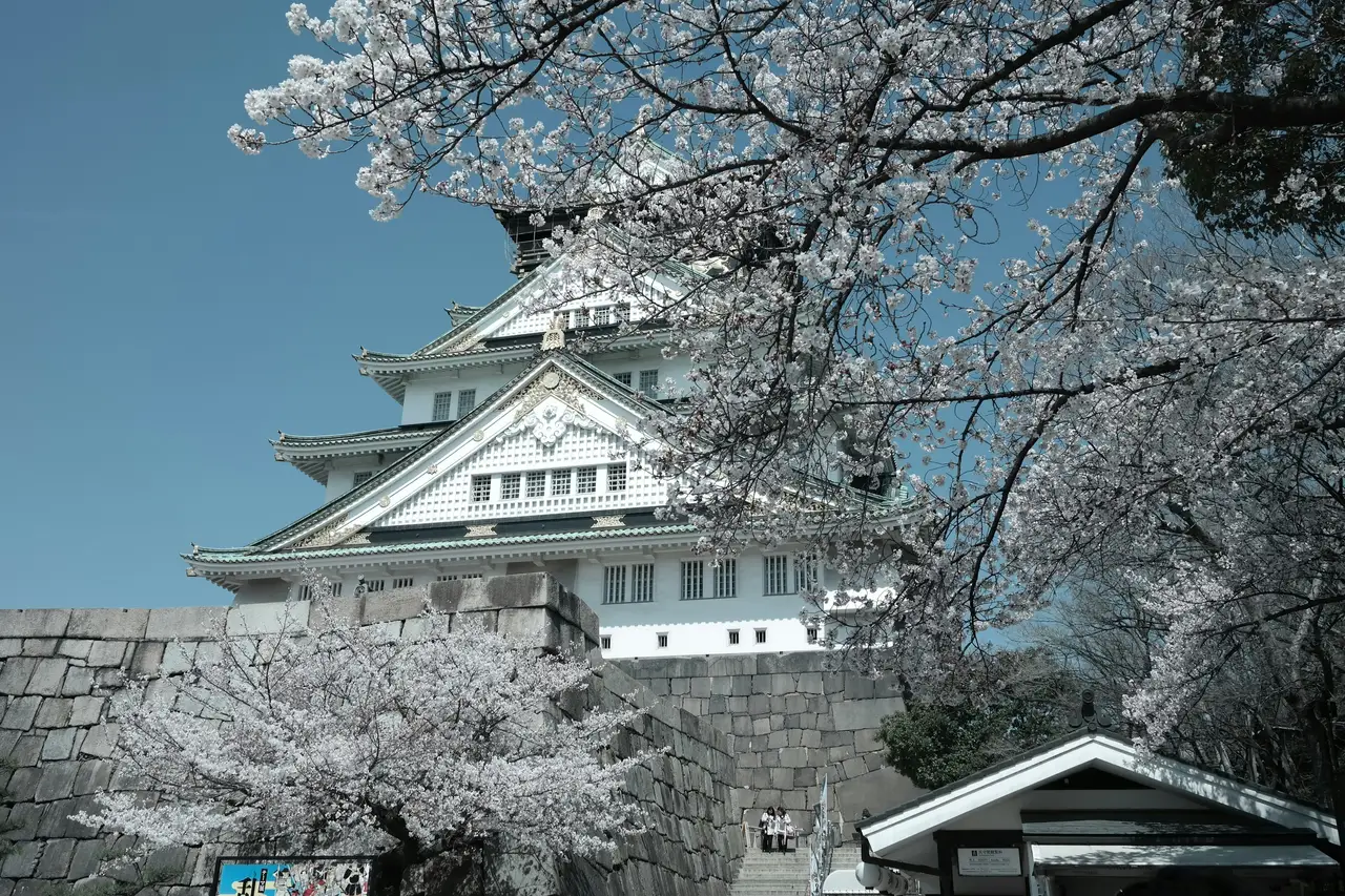 Voyage en Asie – Le château historique d'Osaka entouré de cerisiers en fleurs sous un ciel bleu au Japon.
