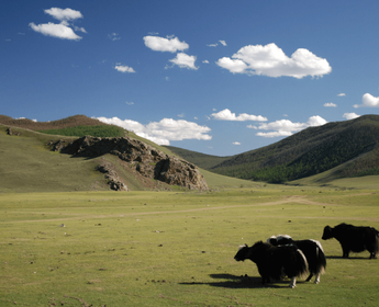 oskoi-paysage-magnifique-trek