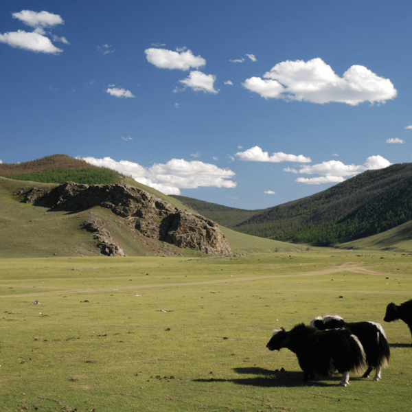 oskoi-paysage-magnifique-trek