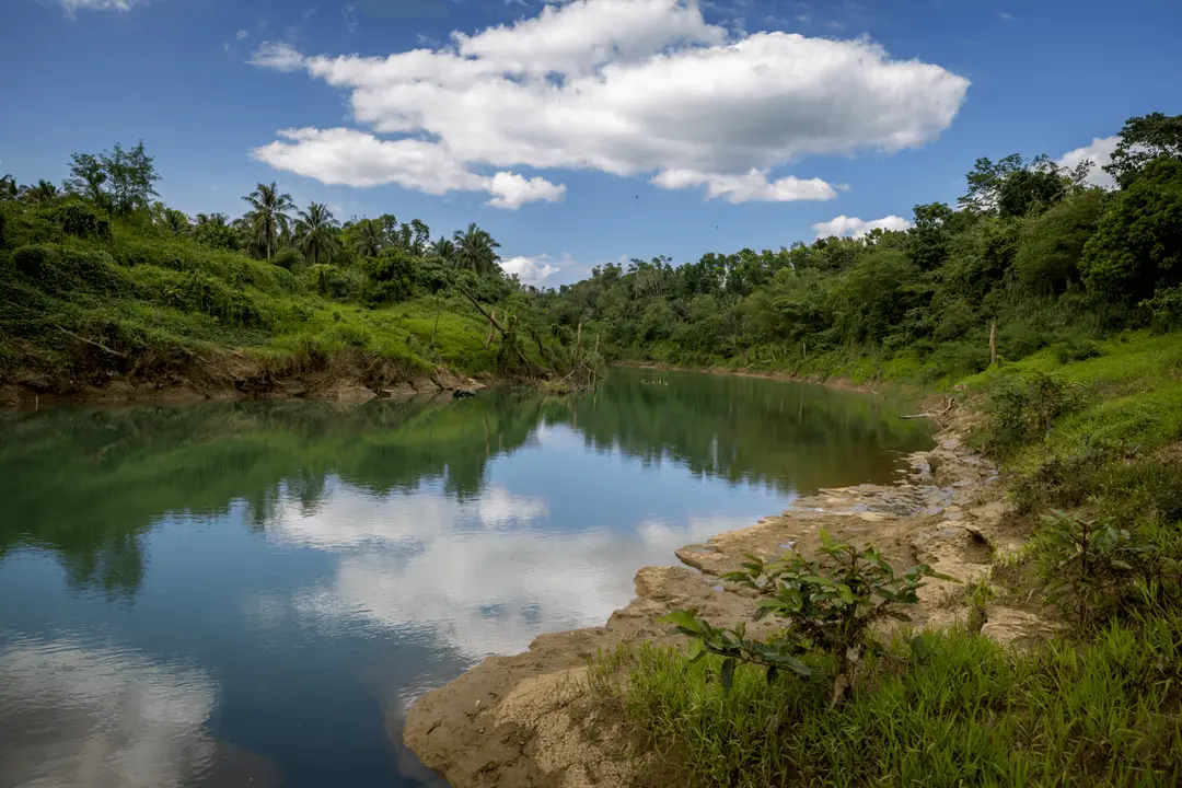 Trip to the Philippines - the Loboc River amidst Bohol jungle