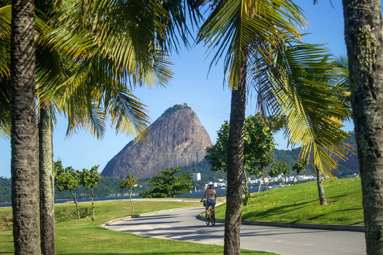 Voyage au Brésil – Premier aperçu de la montagne du Pain de Sucre encadrée par des palmiers sous un grand ciel bleu à Rio de Janeiro.