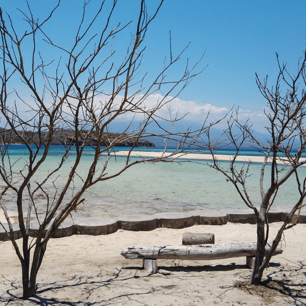 pemuteran-magnifique-mer