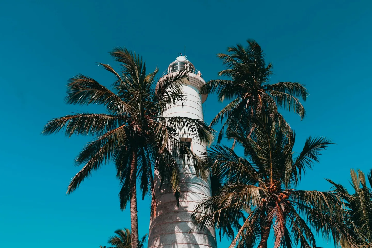 pexels-Sri Lanka Galle lightouse palmtrees.jpg