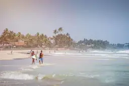 Plage de sable fin bordée de cocotiers avec des surfeurs au Sri Lanka