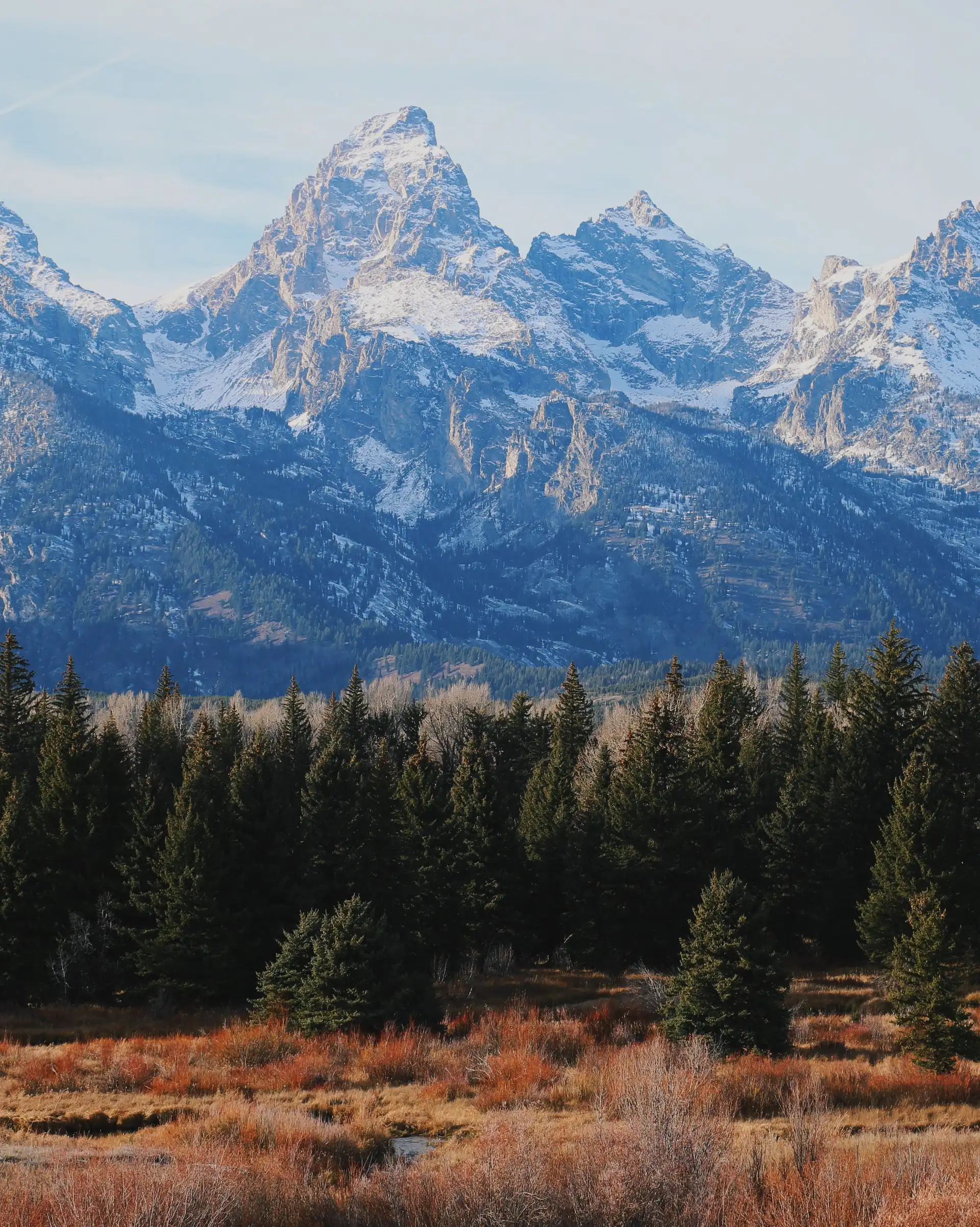 Pics rocheux et enneigés de la chaîne montagneuse des Tetons dominant une forêt de conifères à l'automne dans le Wyoming