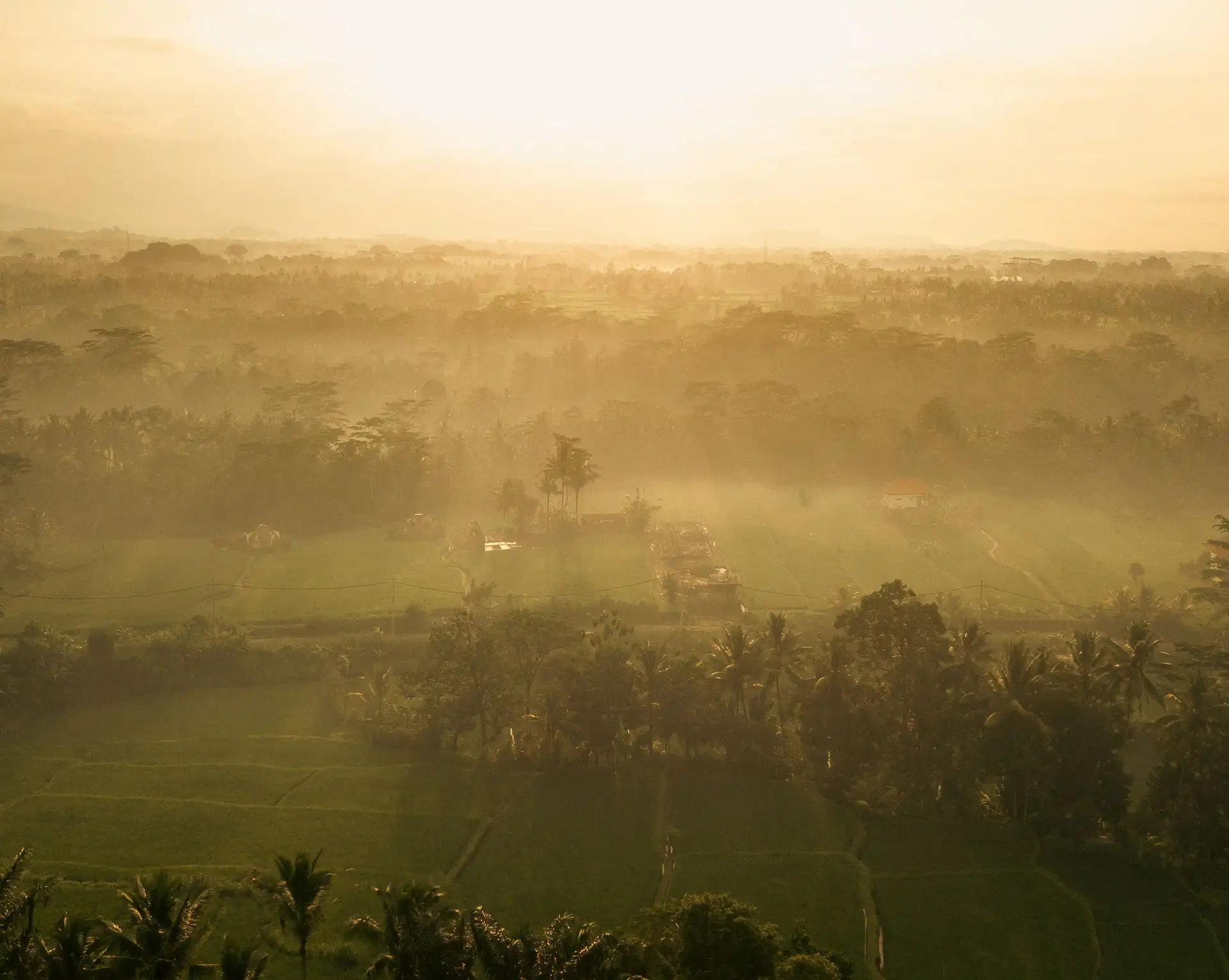 Bali hors des sentiers battus – Vue aérienne d'un paysage verdoyant baigné de brume au lever du soleil à Bali.