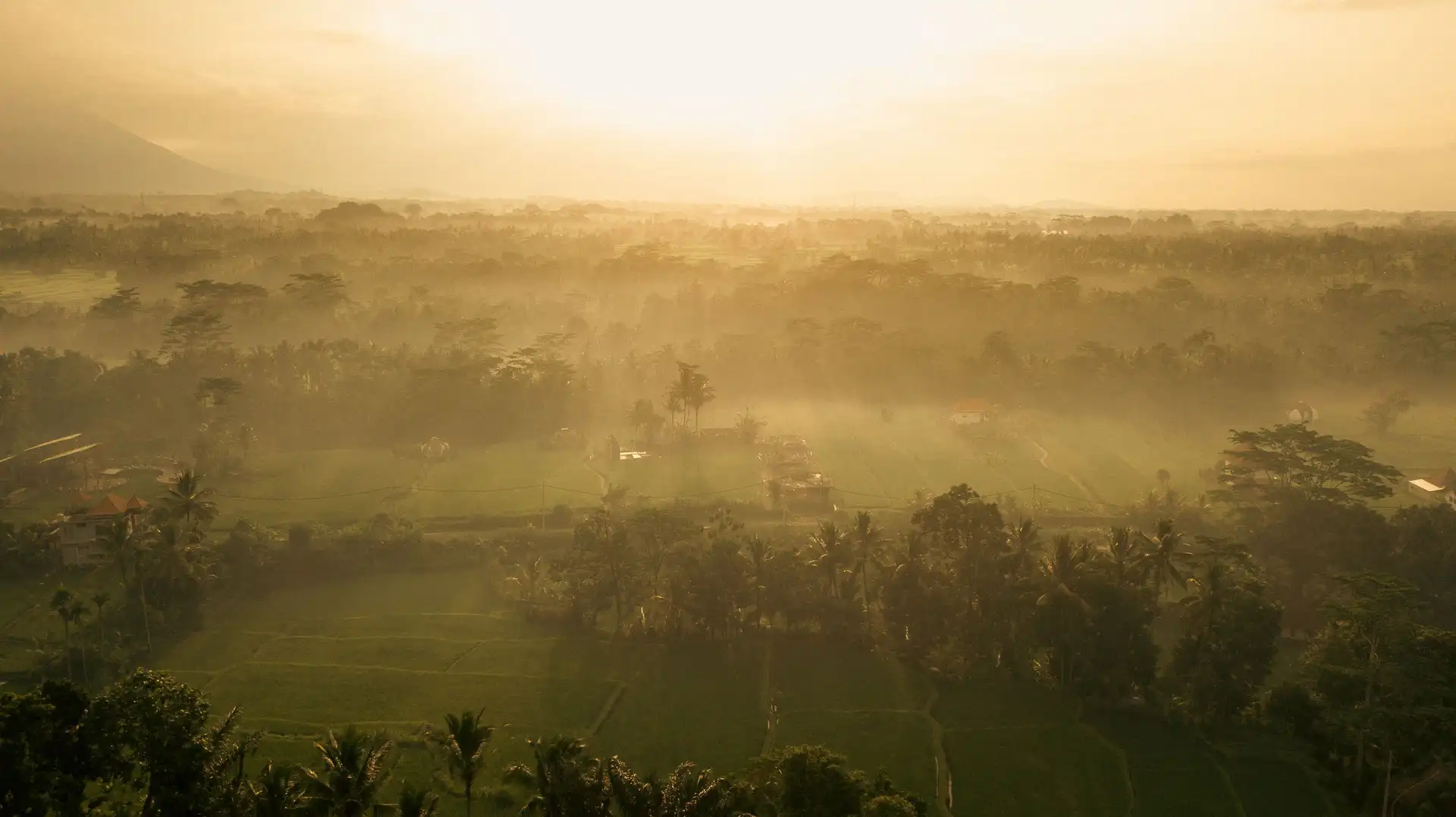 Bali hors des sentiers battus – Vue aérienne d'un paysage verdoyant baigné de brume au lever du soleil à Bali.