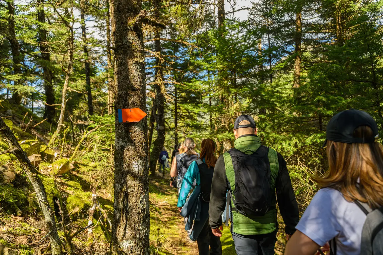 Groupe de randonneurs équipés de sacs à dos marchant sur un sentier boisé balisé en forêt de Mauricie