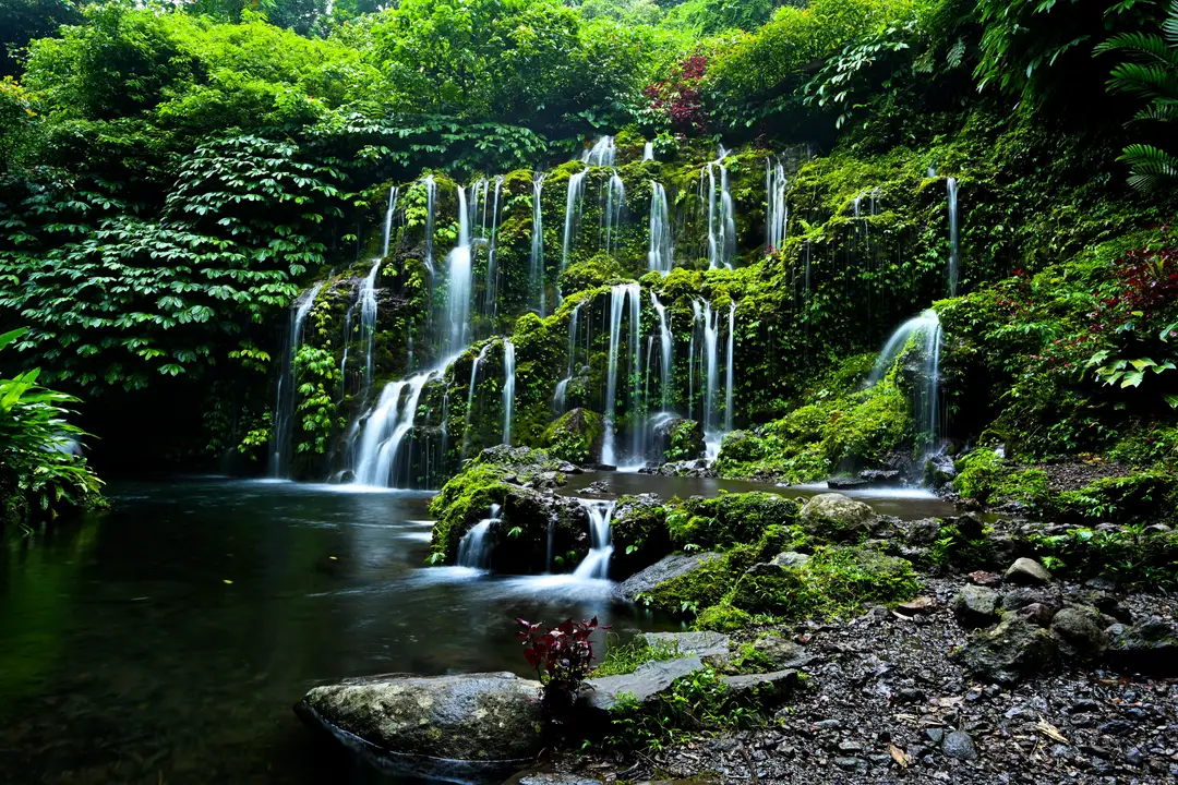 Bali hors des sentiers battus – Cascade naturelle entourée d'une végétation tropicale luxuriante et moussue à Munduk.