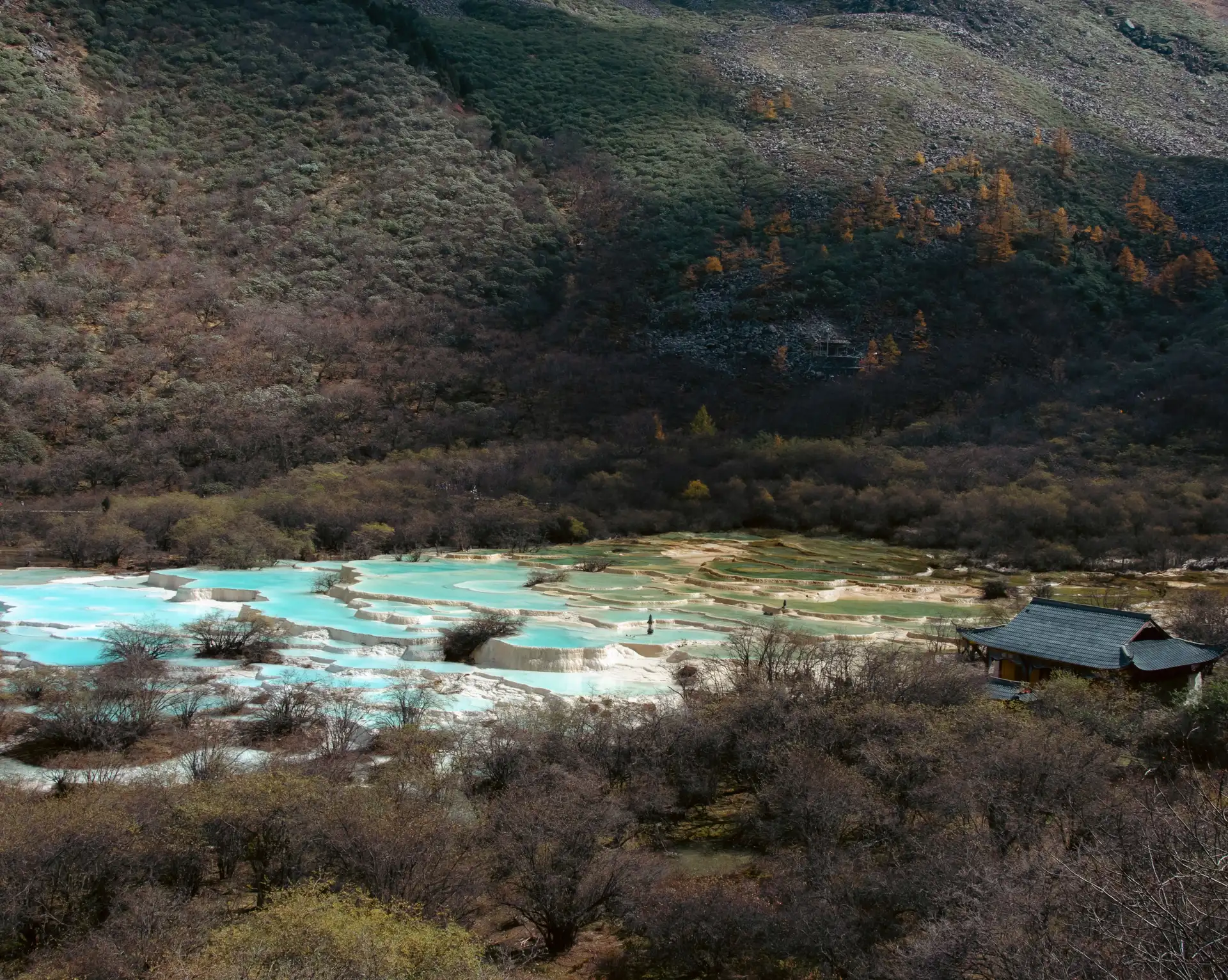 Bassins naturels de travertin aux eaux turquoise du site de Huanglong entourés de montagnes boisées dans le Sichuan.