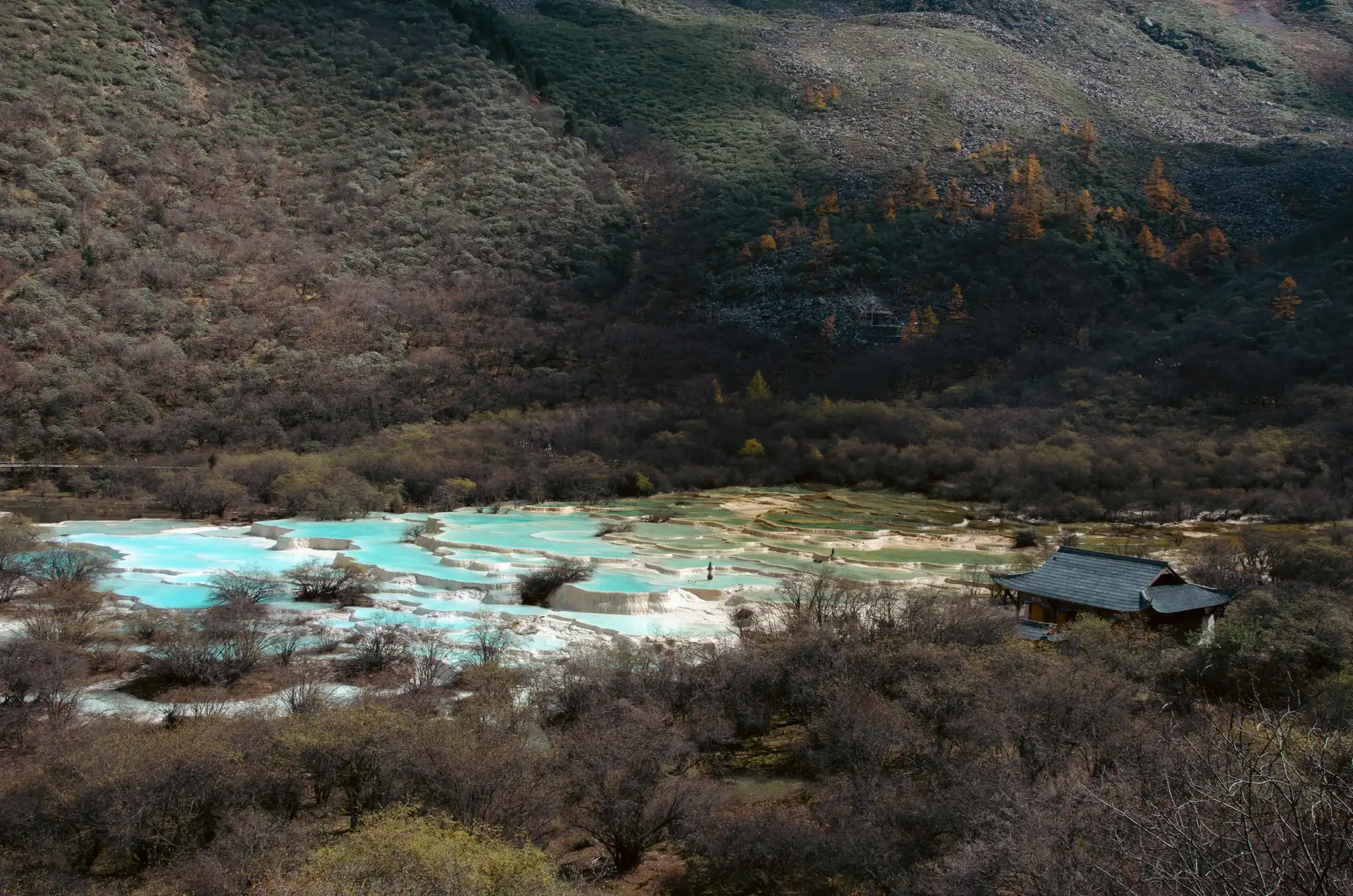 Bassins naturels de travertin aux eaux turquoise du site de Huanglong entourés de montagnes boisées dans le Sichuan.