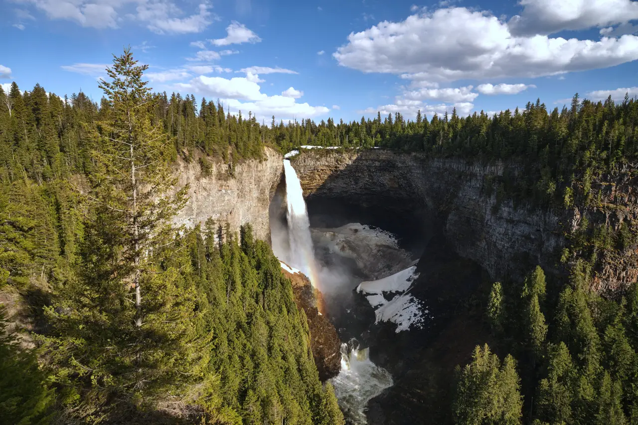 Impressionnante cascade se jetant au fond d'un vaste canyon volcanique bordé d'une dense forêt de conifères à Clearwater