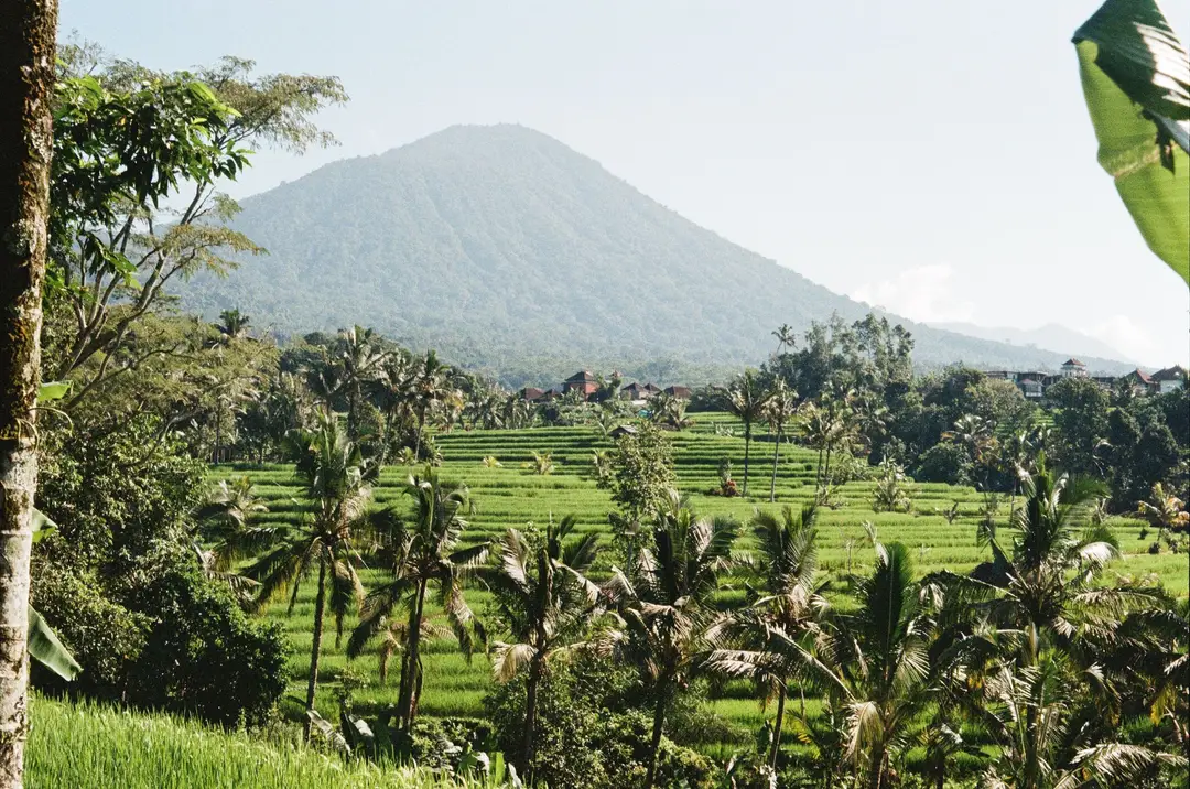 Bali hors des sentiers battus – Silhouette du mont Batukaru surplombant les rizières en terrasses et la végétation tropicale.