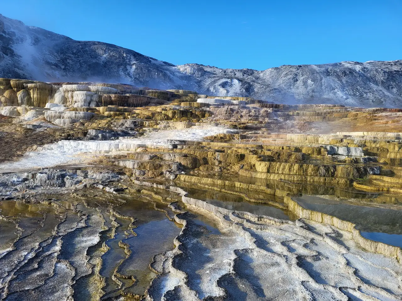Terrasses naturelles de travertin sculptées et fumerolles fumantes à Mammoth Hot Springs dans le parc national de Yellowstone
