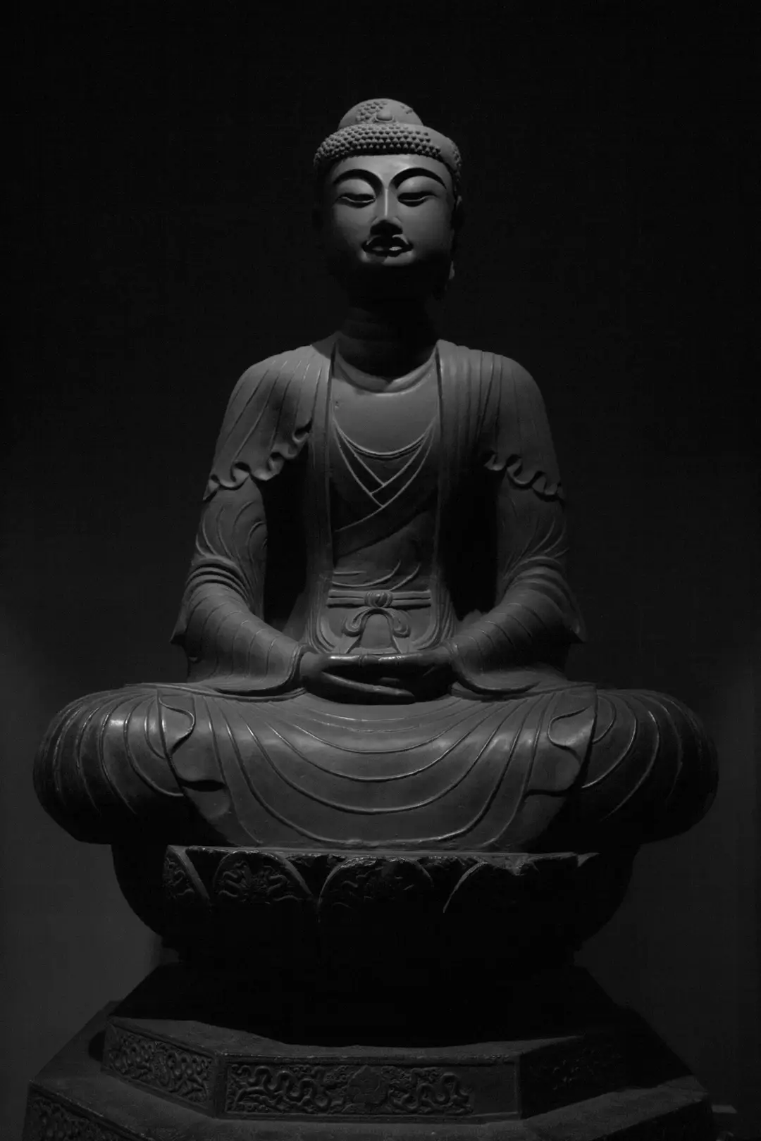 pexels-nguyen1502-31902045.jpg